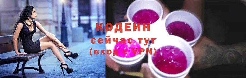 blacksprut сайт  Александров  Кодеиновый сироп Lean Purple Drank  продажа наркотиков 