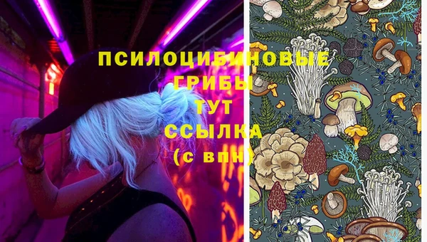 шишки Лагань
