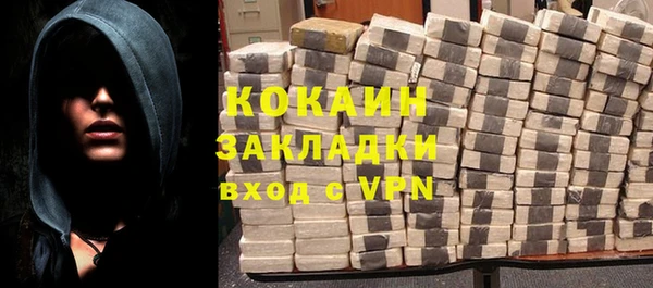 шишки Лагань