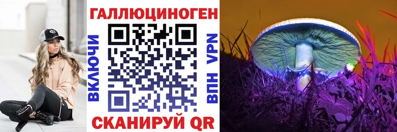 Галлюциногенные грибы MAGIC MUSHROOMS  сколько стоит  Александров 