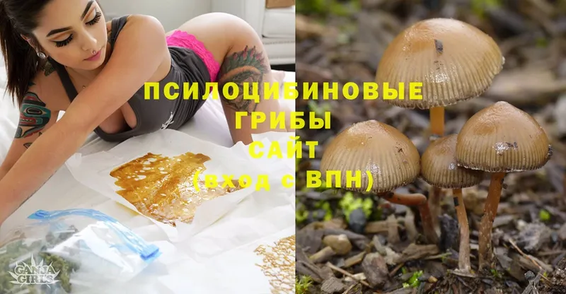 Псилоцибиновые грибы GOLDEN TEACHER  hydra ссылка  Александров 