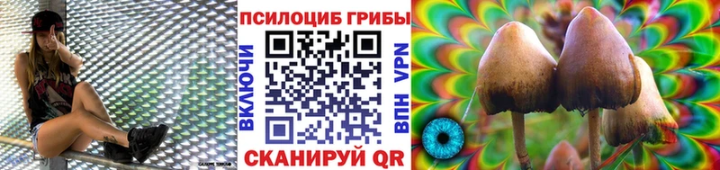 Псилоцибиновые грибы прущие грибы Александров