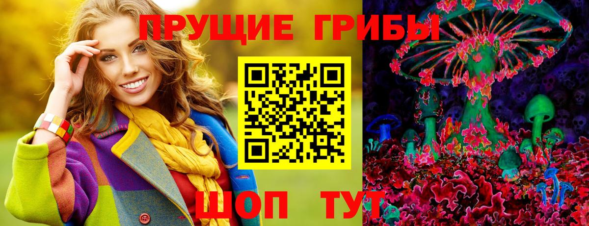 ГАШ Александров