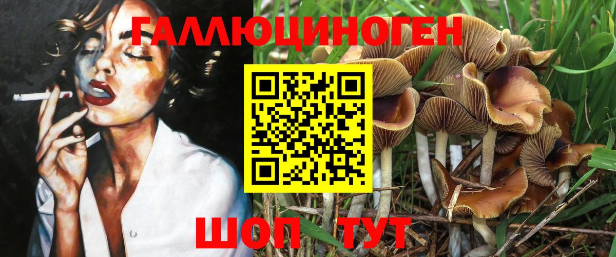Псилоцибиновые грибы мицелий Александров