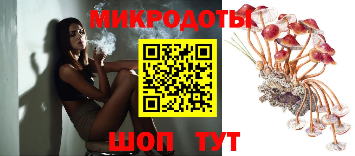 Галлюциногенные грибы мицелий Александров