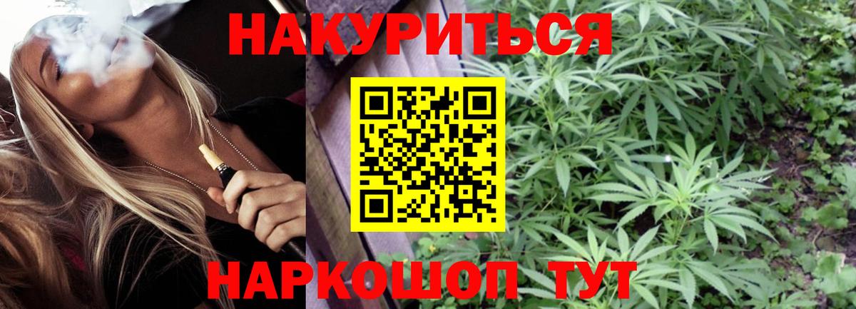 Шишки марихуана план  Вход с VPN  Каннабис ГИДРОПОН  Марихуана сатива  МАРИХУАНА конопля  Александров 